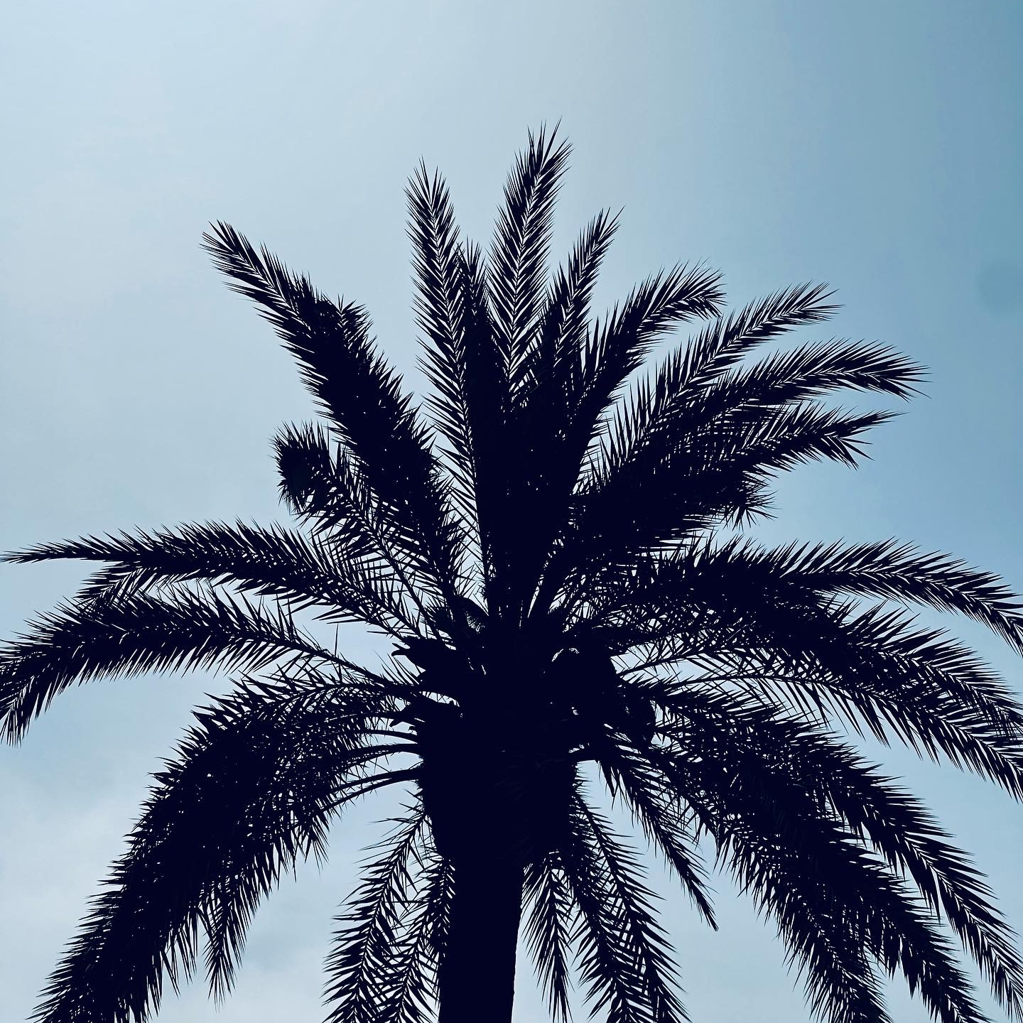 An Unforgettable Weekend in Palma