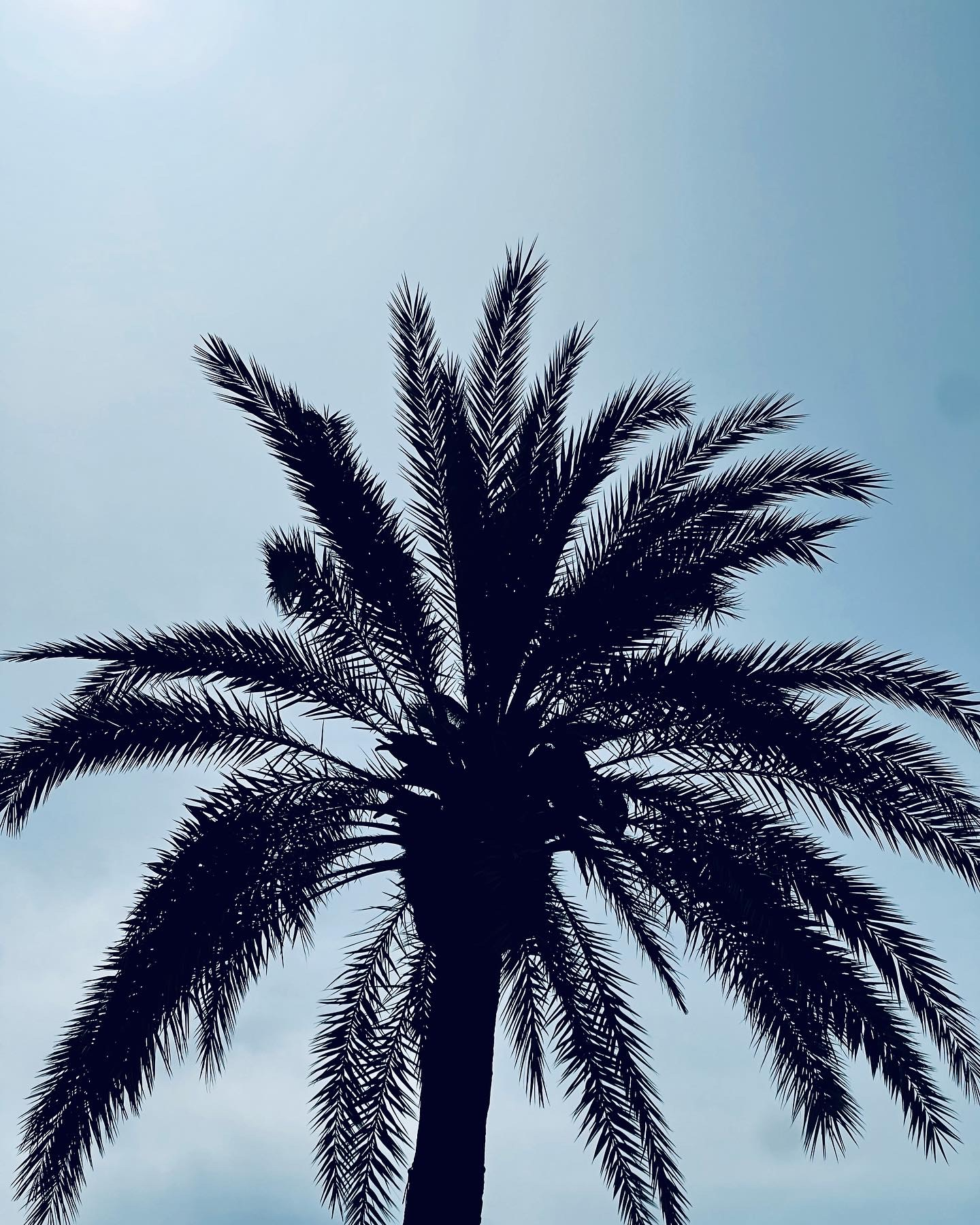 An Unforgettable Weekend in Palma