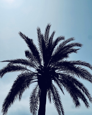An Unforgettable Weekend in Palma