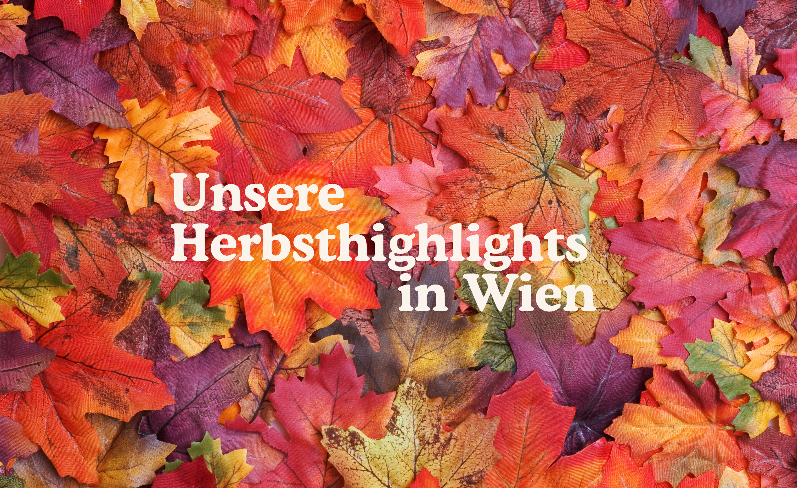 Unsere Herbst Highlights in Wien