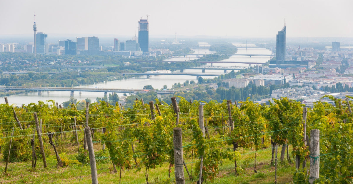 Unsere liebsten Heurigen-Geheimtipps rund um Wien