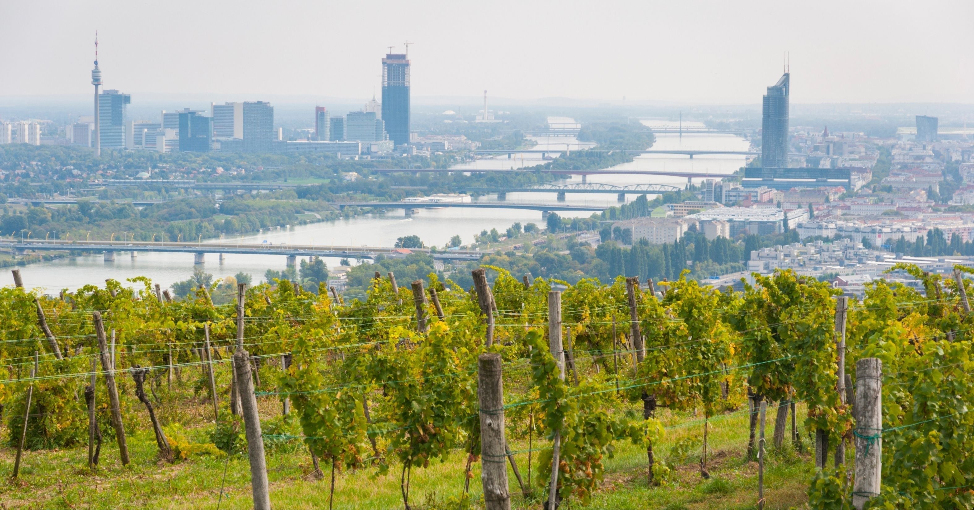 Unsere liebsten Heurigen-Geheimtipps rund um Wien