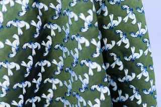 DORA green birds