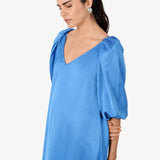 MAYA blue iris